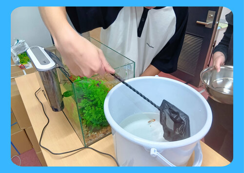 水槽掃除➂.jpg