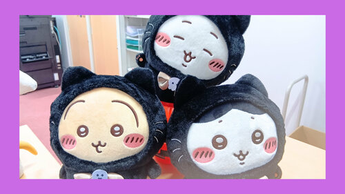 ハロウィン装飾 (3).jpg