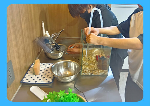 水槽掃除②.jpg