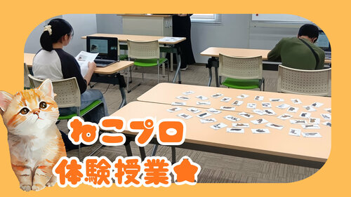 ねこプロ10月4日.jpg