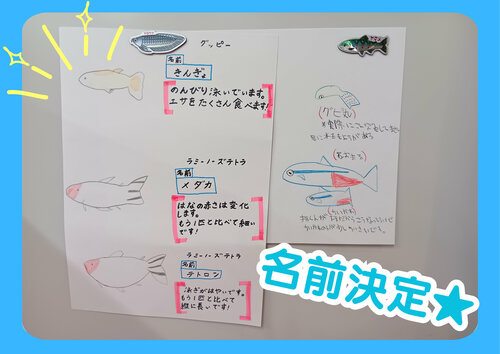 名前決定.jpg