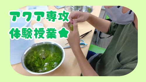【宇都宮】アクア体験授業🐟✨