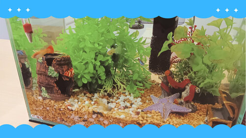 アクア専攻水槽デザイン (1).jpg