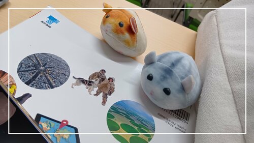 レポート学習の休み時間 (1).jpg