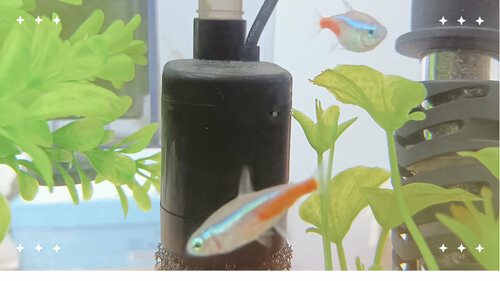 水槽水替え (1).jpg