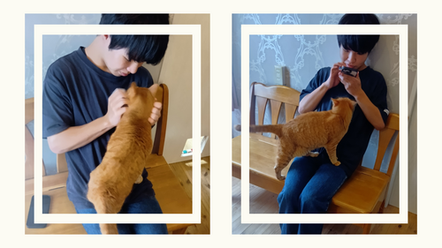 ねこプロ (3).png