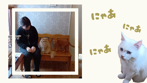 ねこプロ (2).png