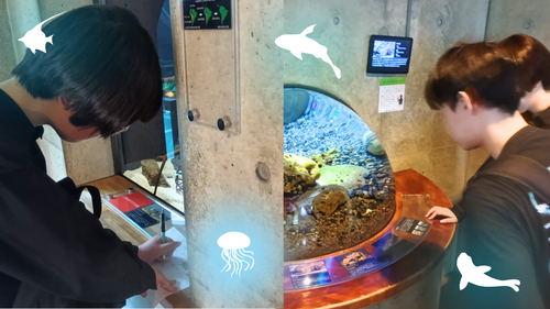 #きれいなお魚 (1).png