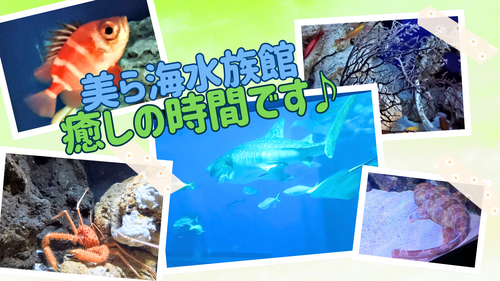 名護本校 (3).png