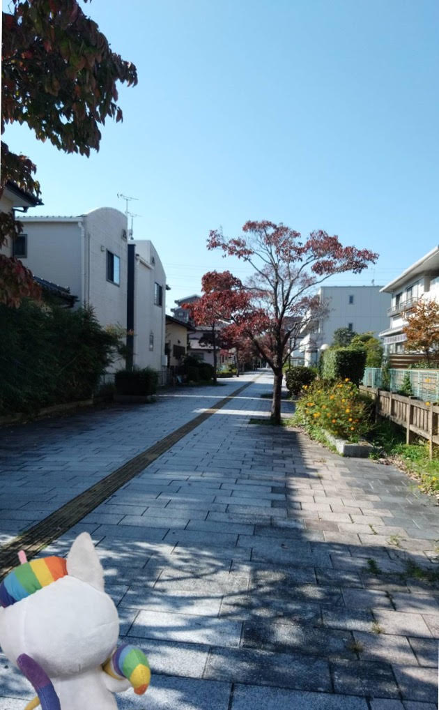 【宇都宮】今日は気持ちの良い秋晴れ( ^^) _