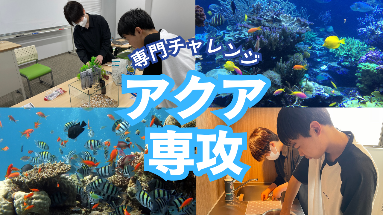 【宇都宮】アクア専攻の様子をお伝えします🐟