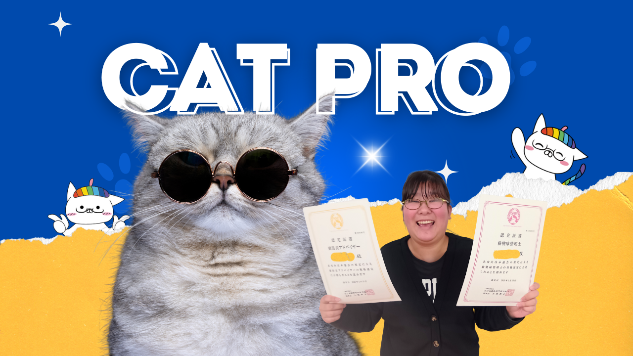 【宇都宮】ねこプロ体験会を実施しました🐱✨