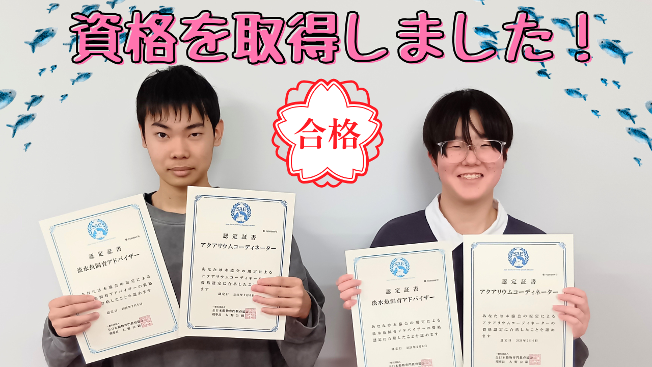 【宇都宮】アクア専攻🐟🐠資格を取得しました！✨