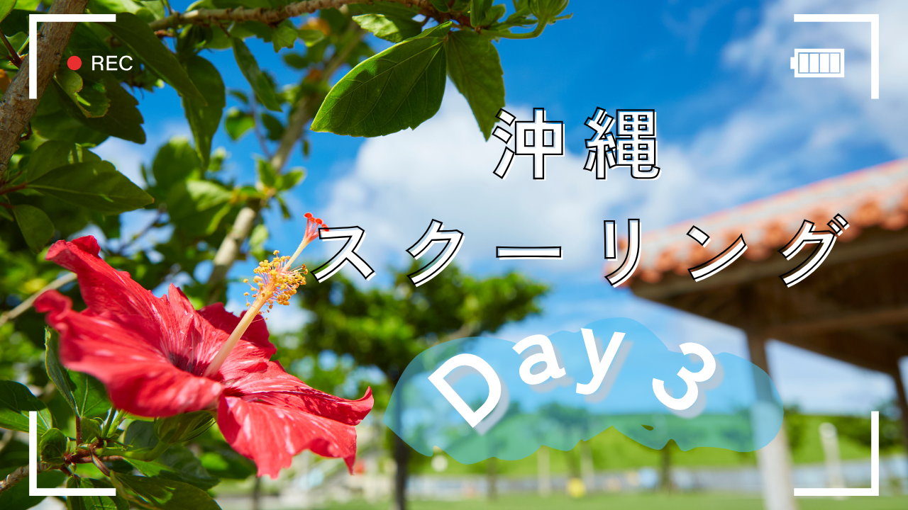 【宇都宮】本校スクーリング３日目の様子🐟🍨