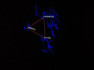 癒しのひととき✨