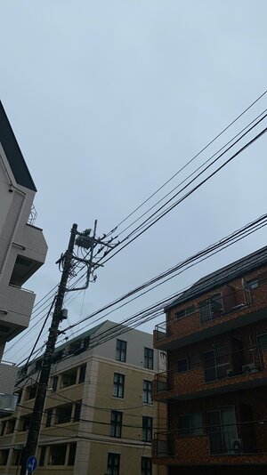 横浜は曇天🌂