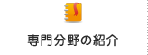 専門分野の紹介