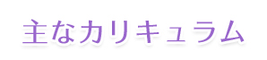 主なカリキュラム