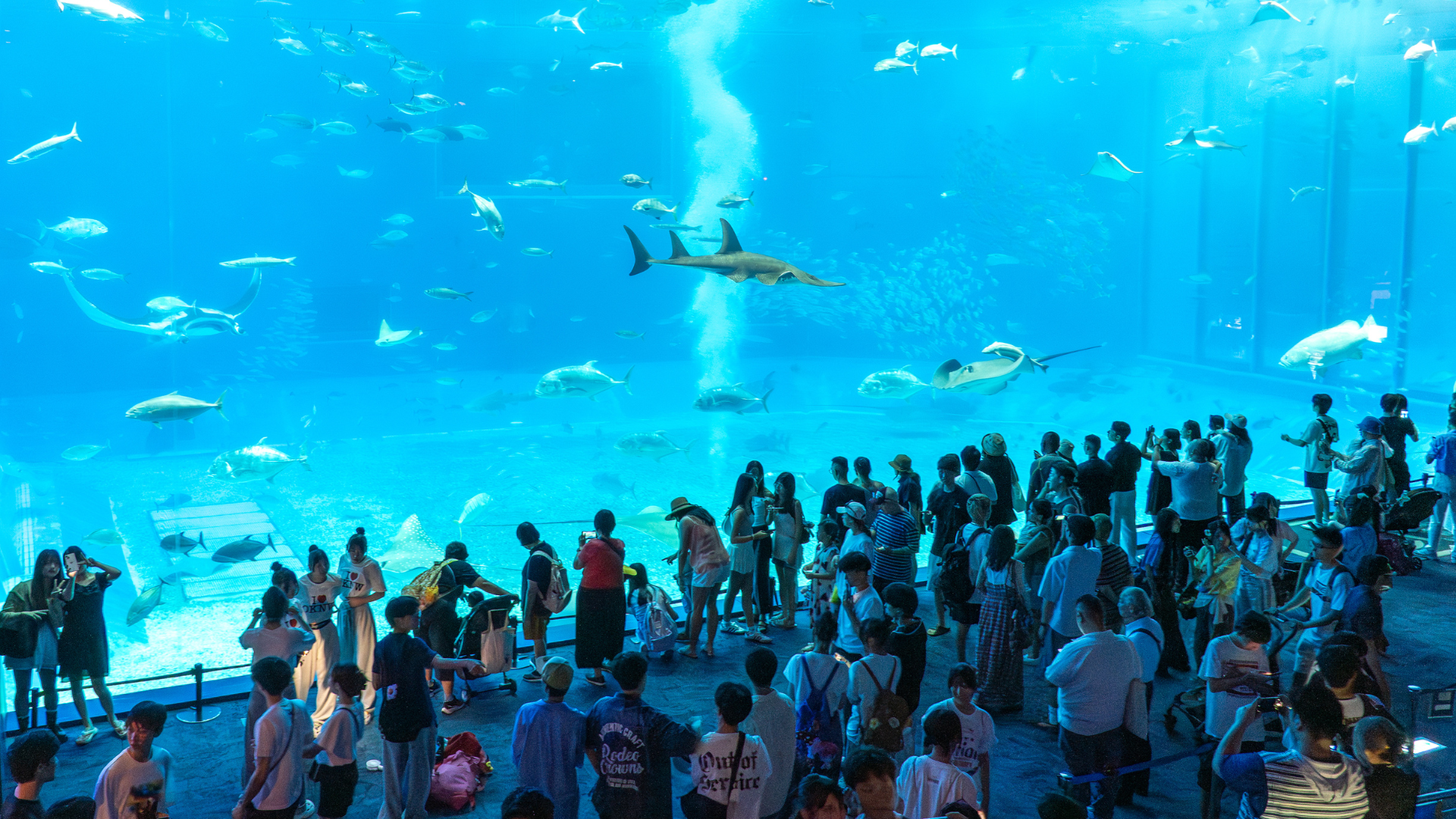 名称未設定のデザイン (68).png