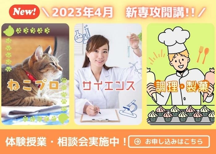 2023年4月新専攻開講！「ねこプロ」「サイエンス」「調理・製菓」