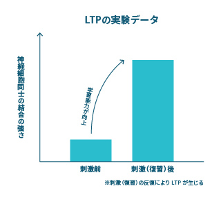 ヒューマンキャンパスの記憶法