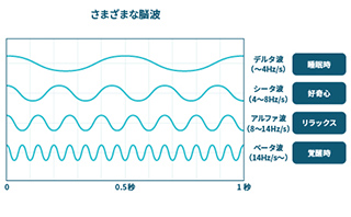 ヒューマンキャンパスの記憶法